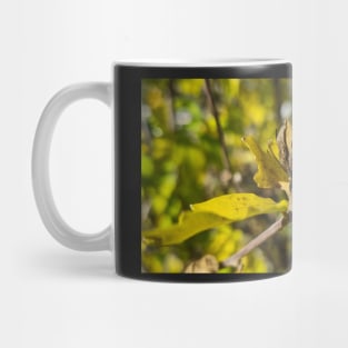 Autumn yellow leaves in sunny weather Mug